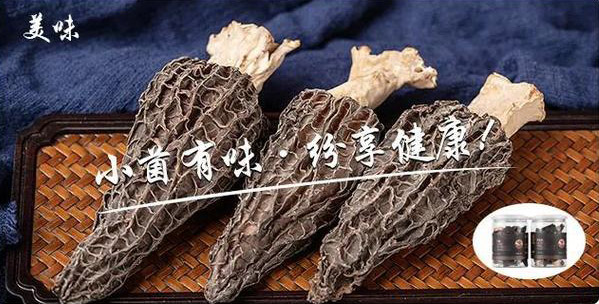 一朵羊肚菌的自述：一朵好菌，源自贵州